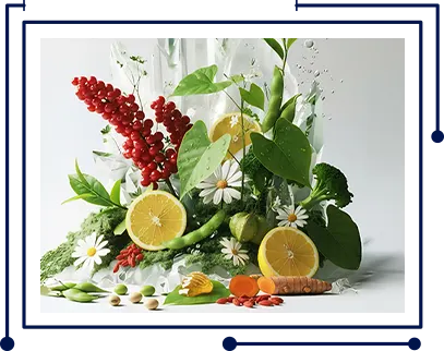 Phytosync Inovasi Bahan Aktif