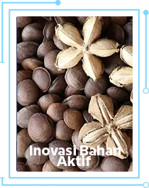 Inovasi Bahan Aktif